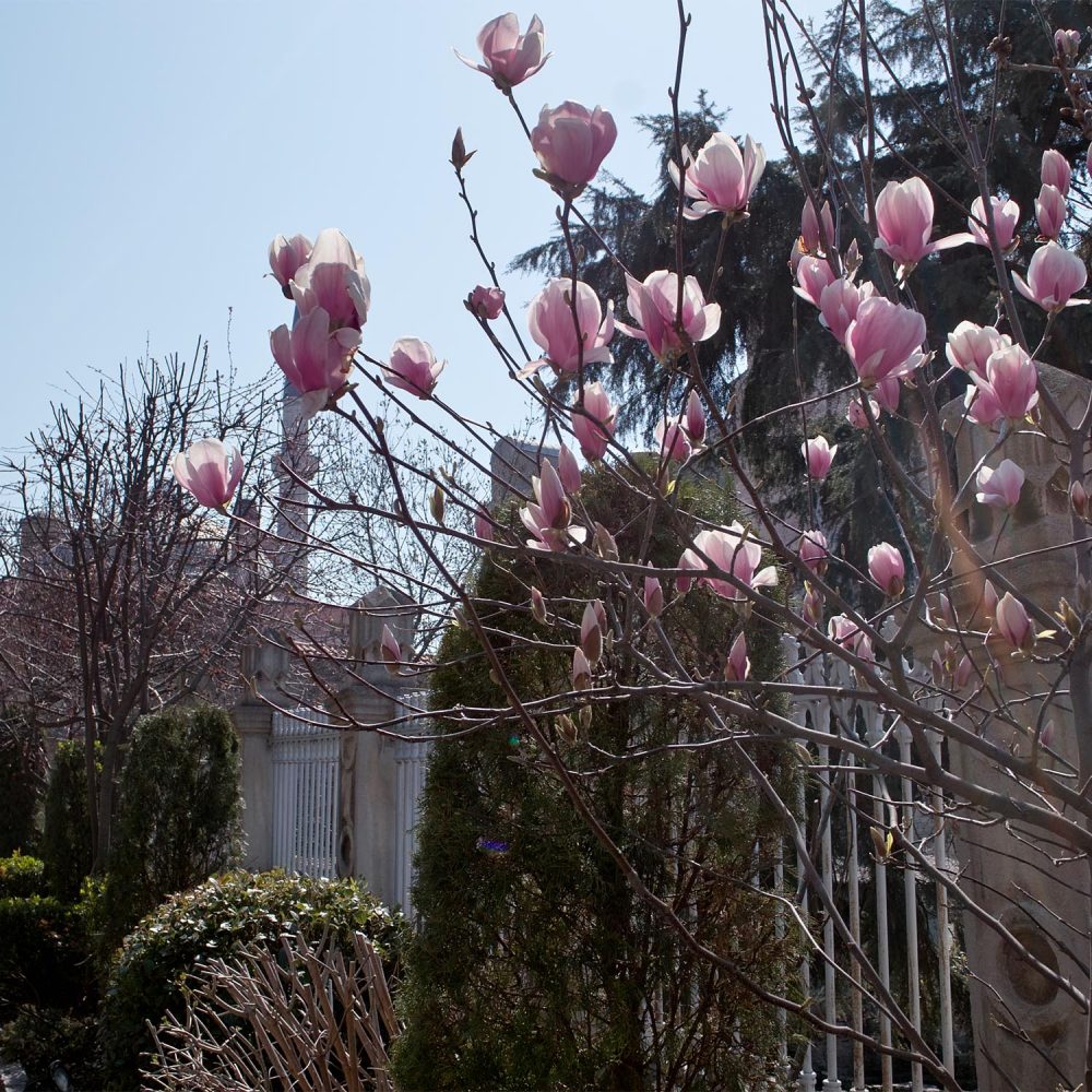 istanbul_thevoyageur22