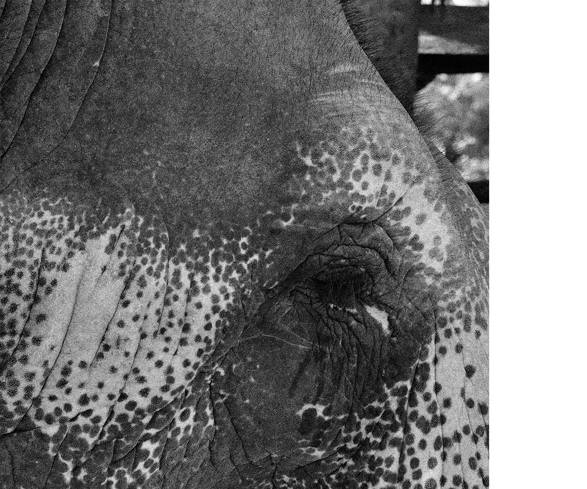 bw_srilanka_thevoyageur01