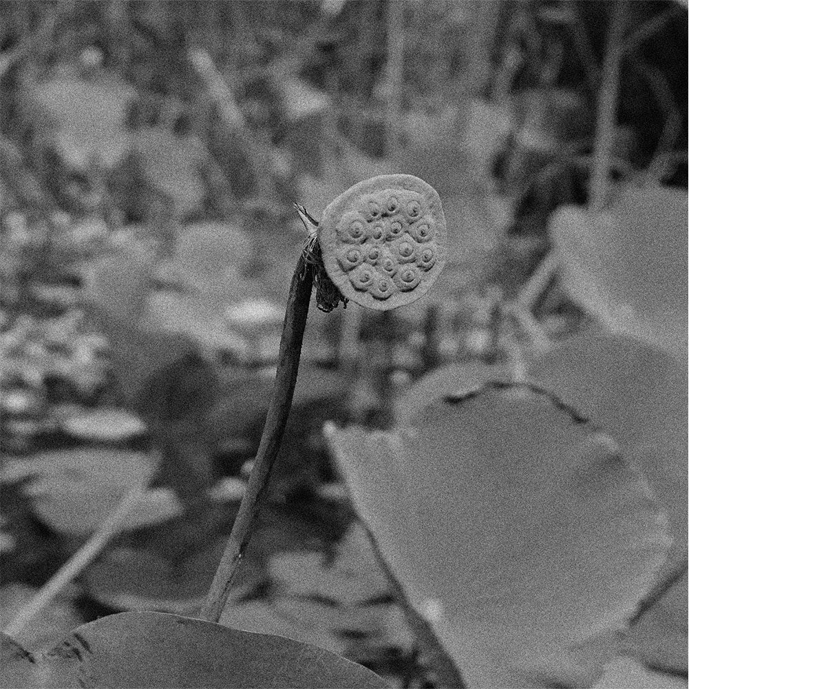 bw_srilanka_thevoyageur02