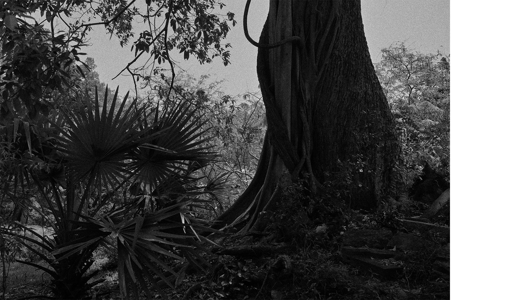bw_srilanka_thevoyageur05