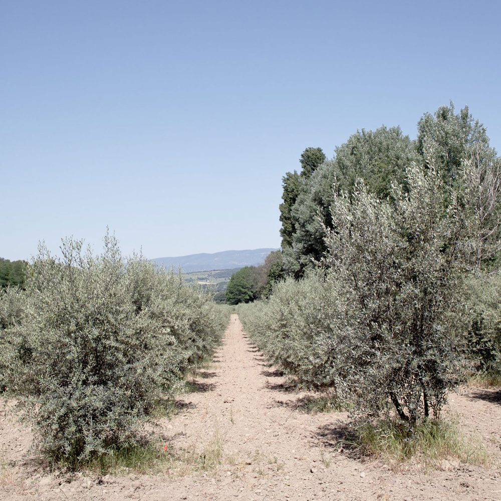 luberon_thevoyageur04