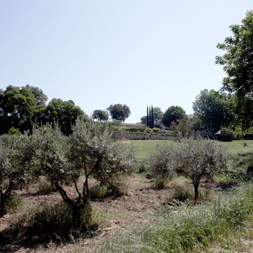 luberon_thevoyageur05