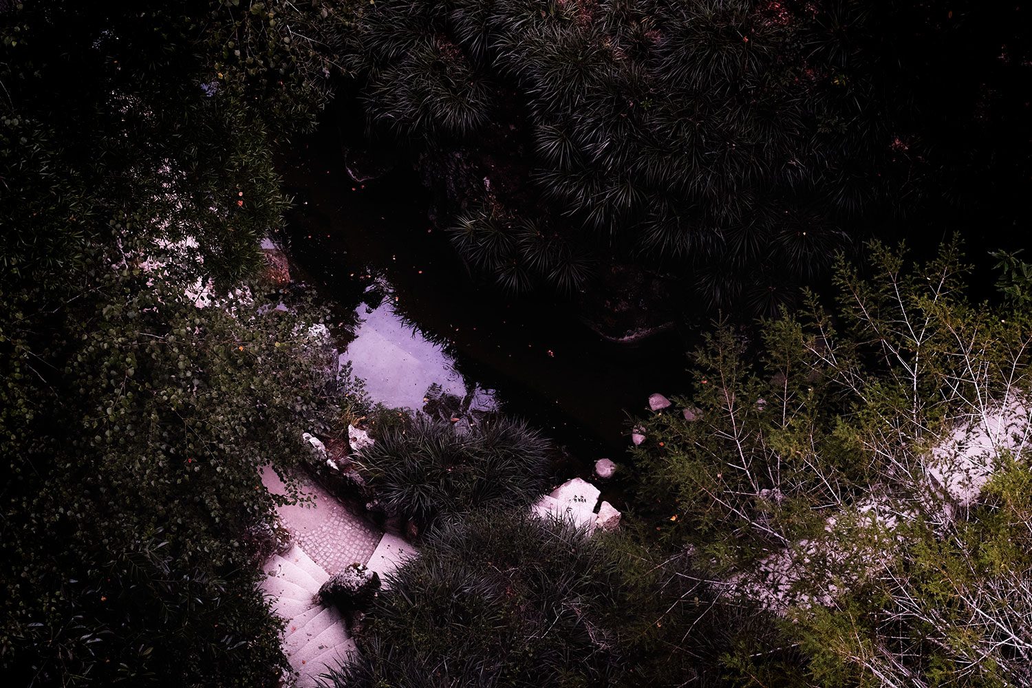 SDIM0542