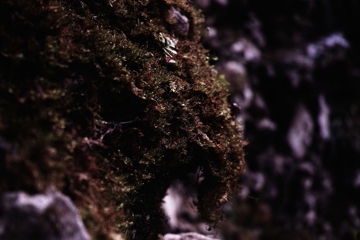 SDIM0544