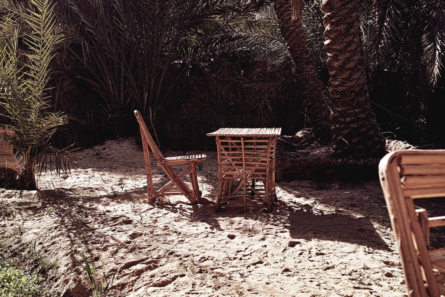 fahmis_garden_thevoyageur01