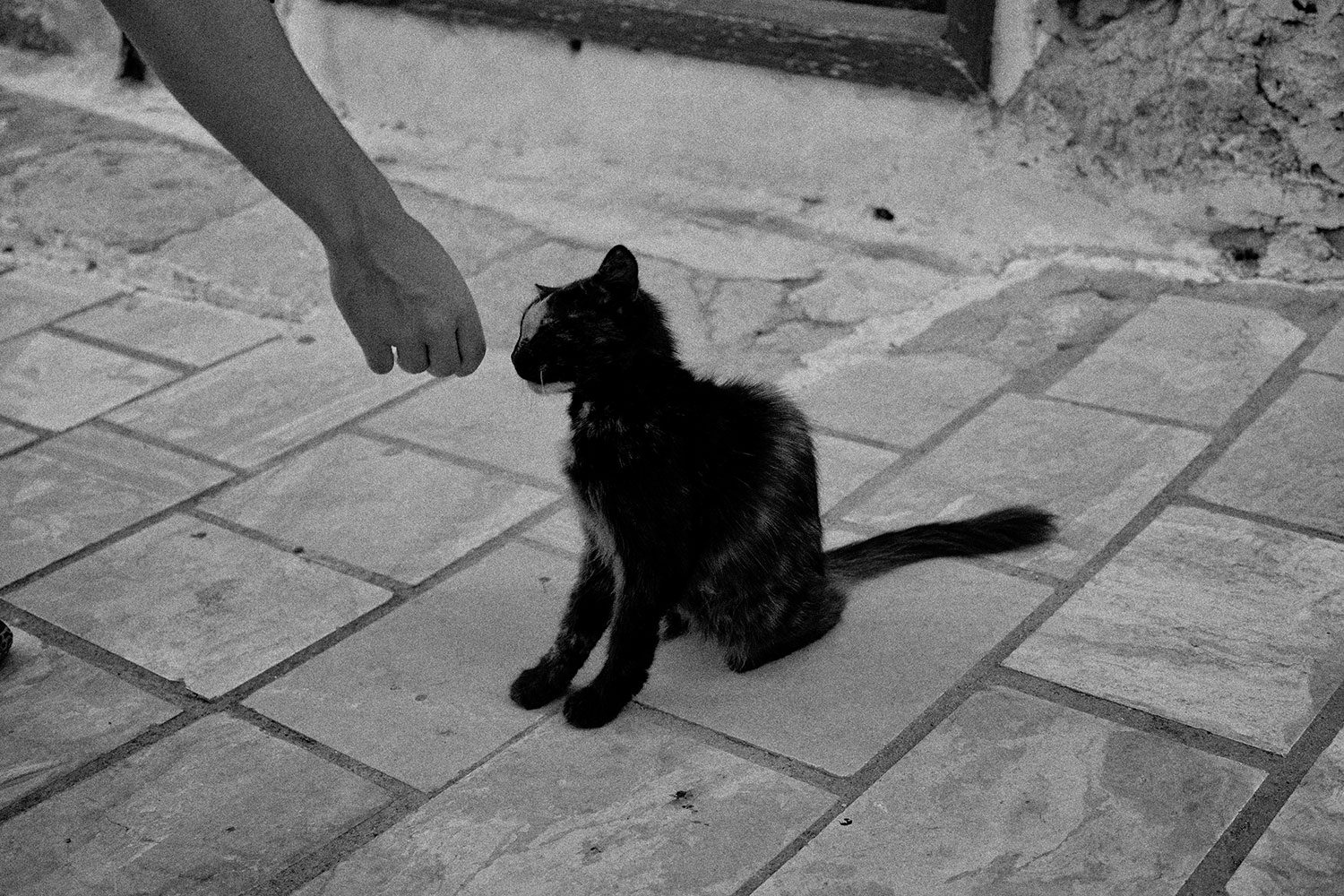 greece_bw_thevoyageur02