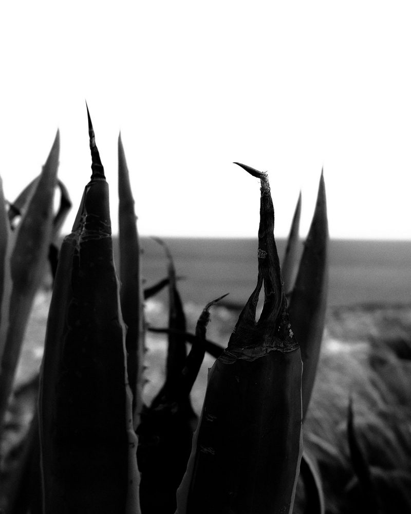 greece_bw_thevoyageur07