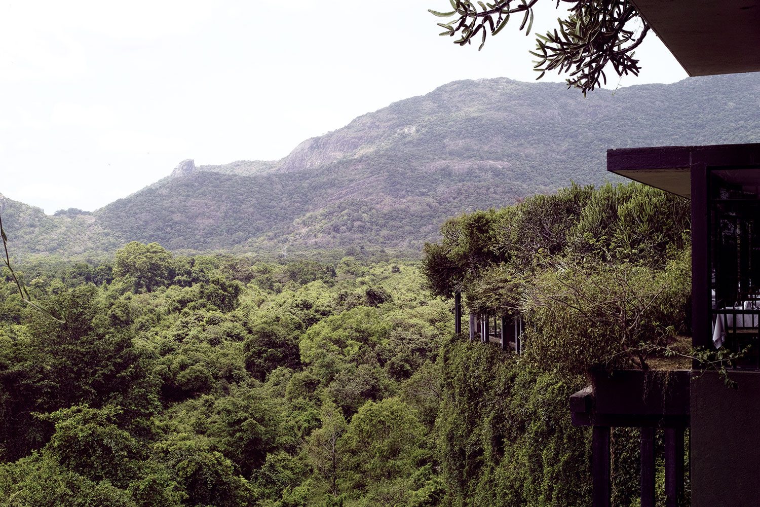 kandalama_thevoyageur13