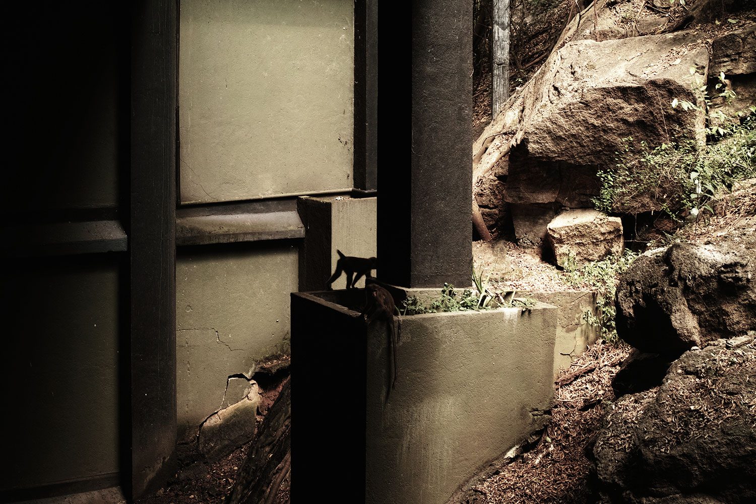 kandalama_thevoyageur14