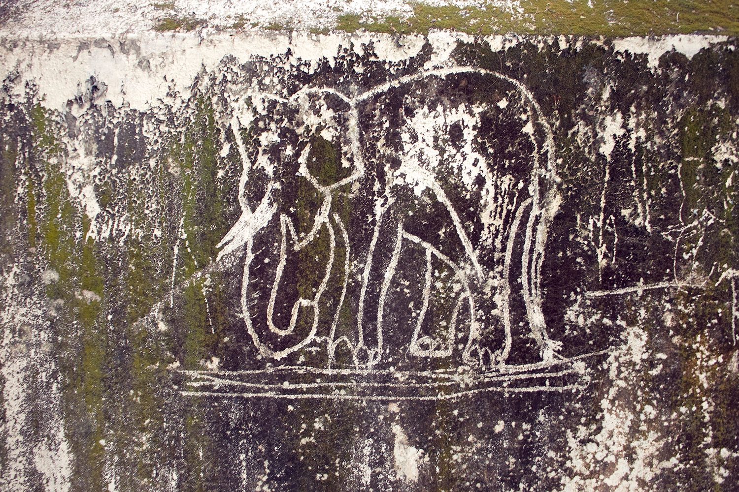 graphictour_kerala_thevoyageur (10)