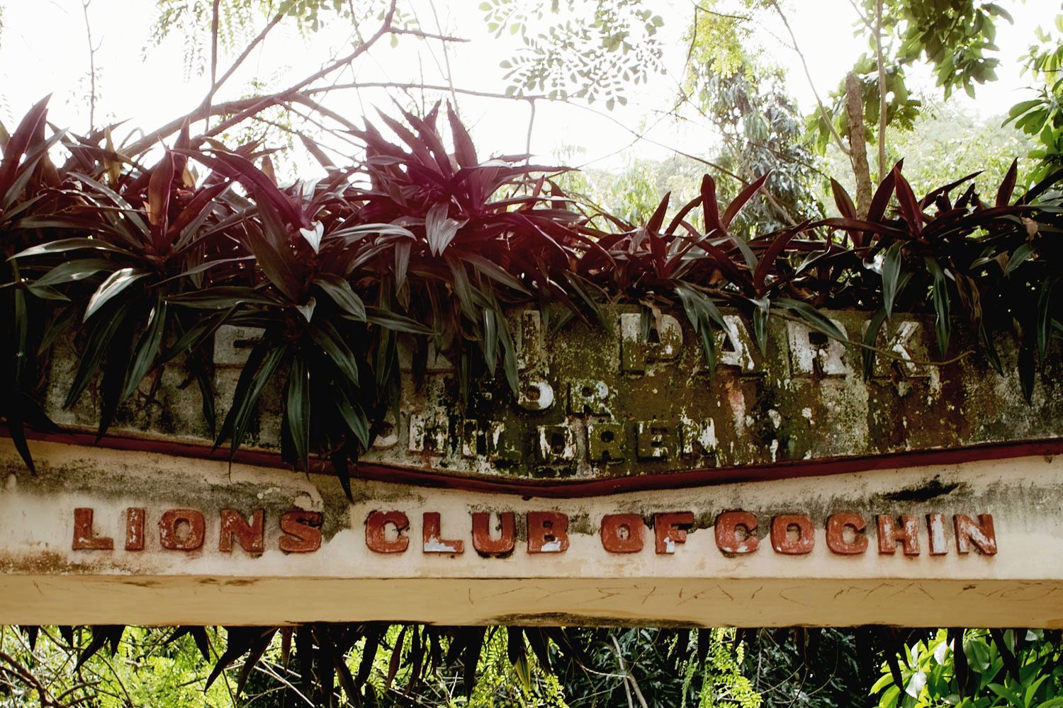graphictour_kerala_thevoyageur-(2)