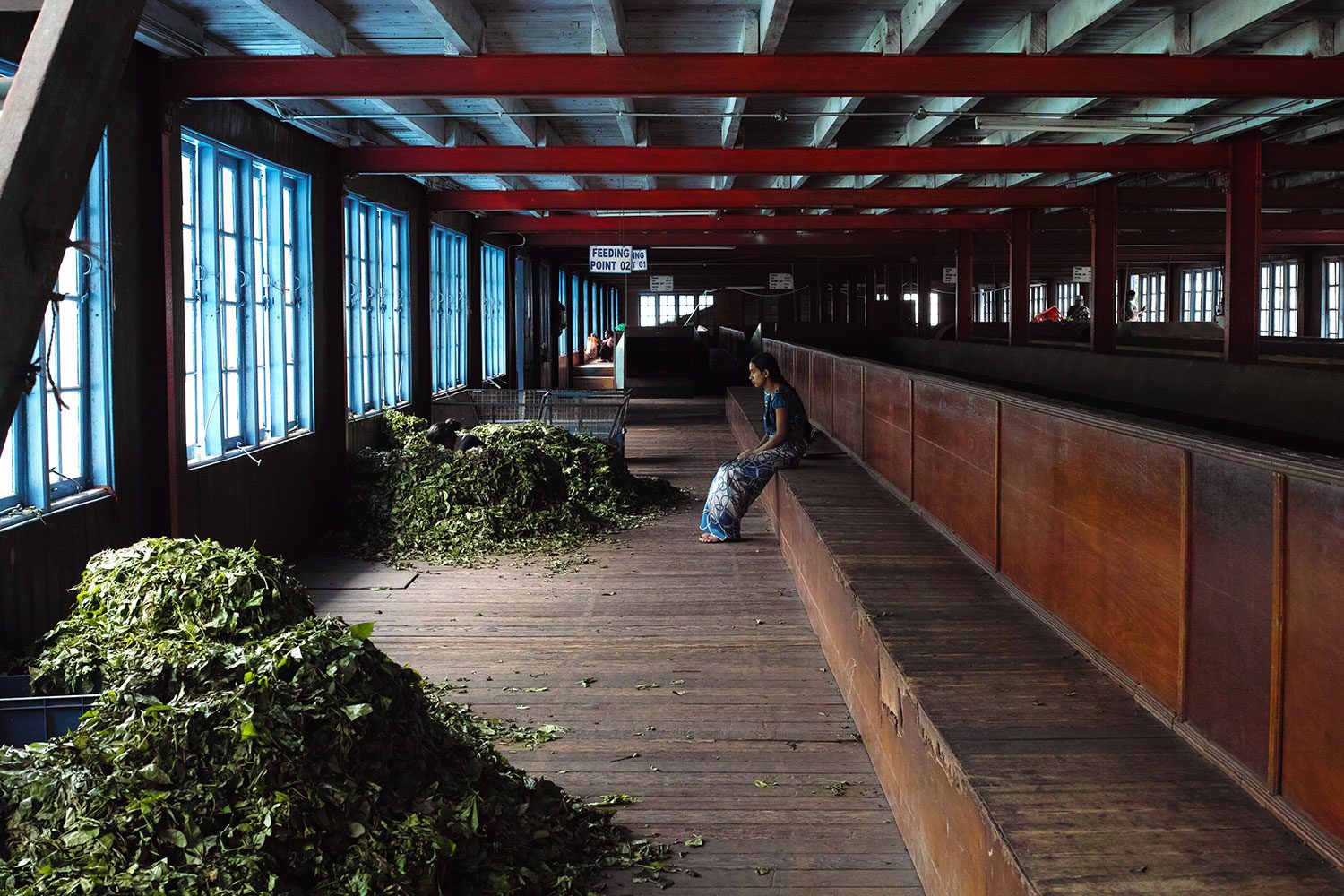 teafactory_srilanka_thevoyageur