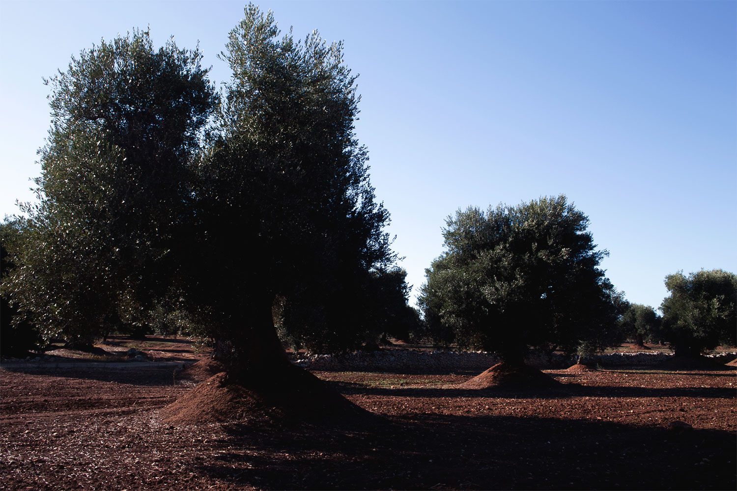 apulia_thevoyageur02