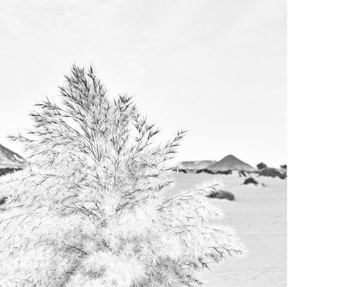 egypt_b&w_thevoyageur21