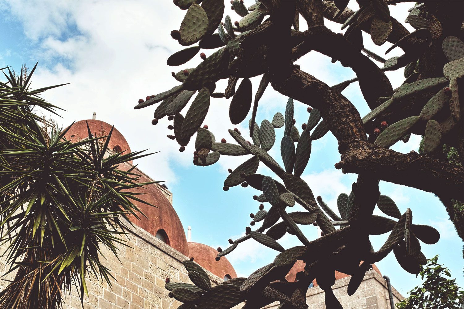 greedelight_sicily_thevoyageur02