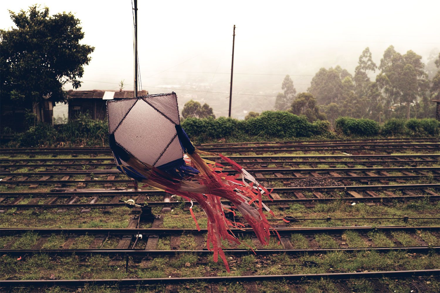 train_srilanka_thevoyageur06