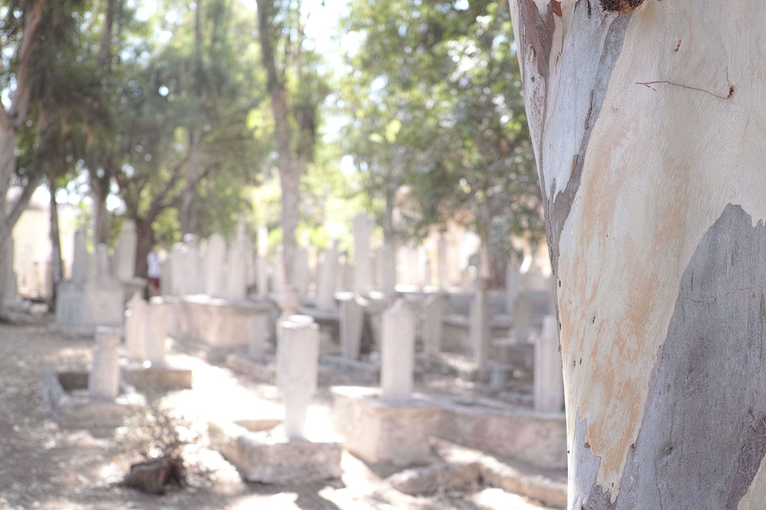 turkishcemetary_rhodes_thevoyageur08