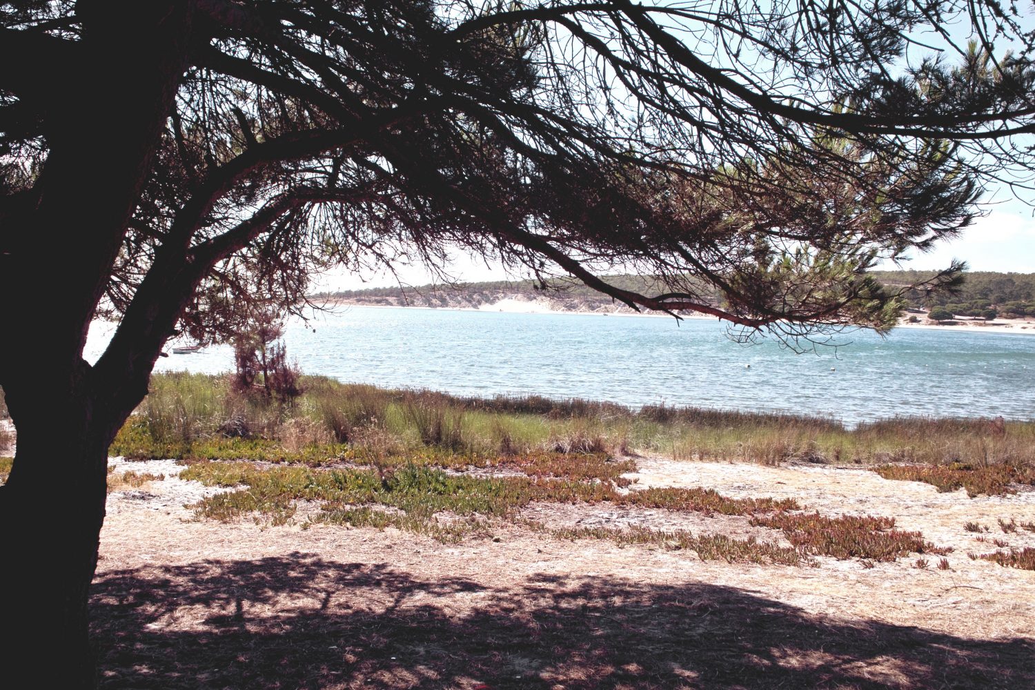 fisherman_shacks_portugal_thevoyageur3