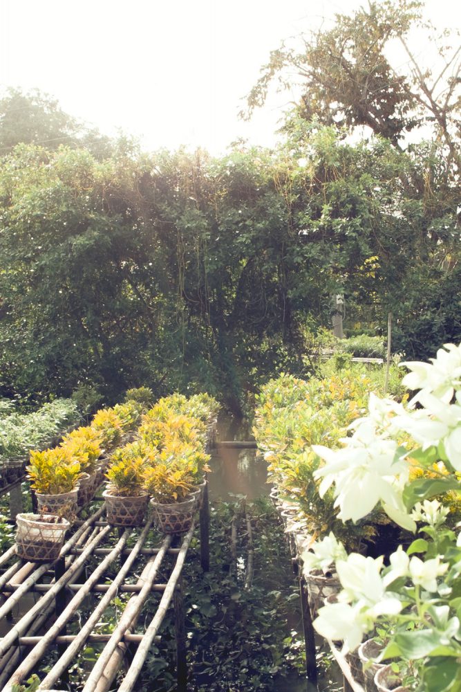 garden_mekong_thevoyageur06