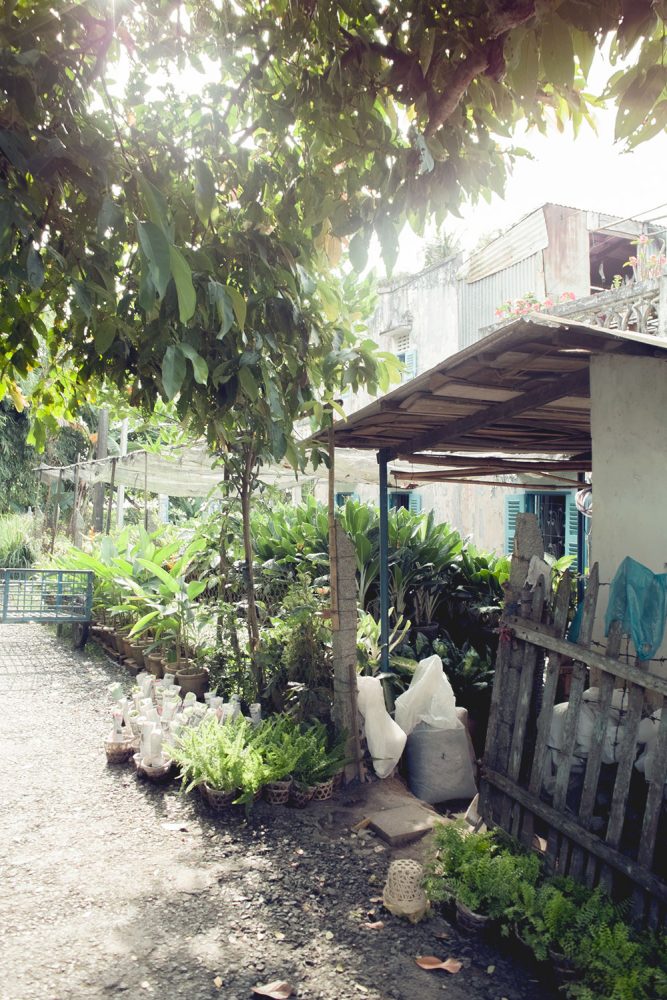 garden_mekong_thevoyageur08