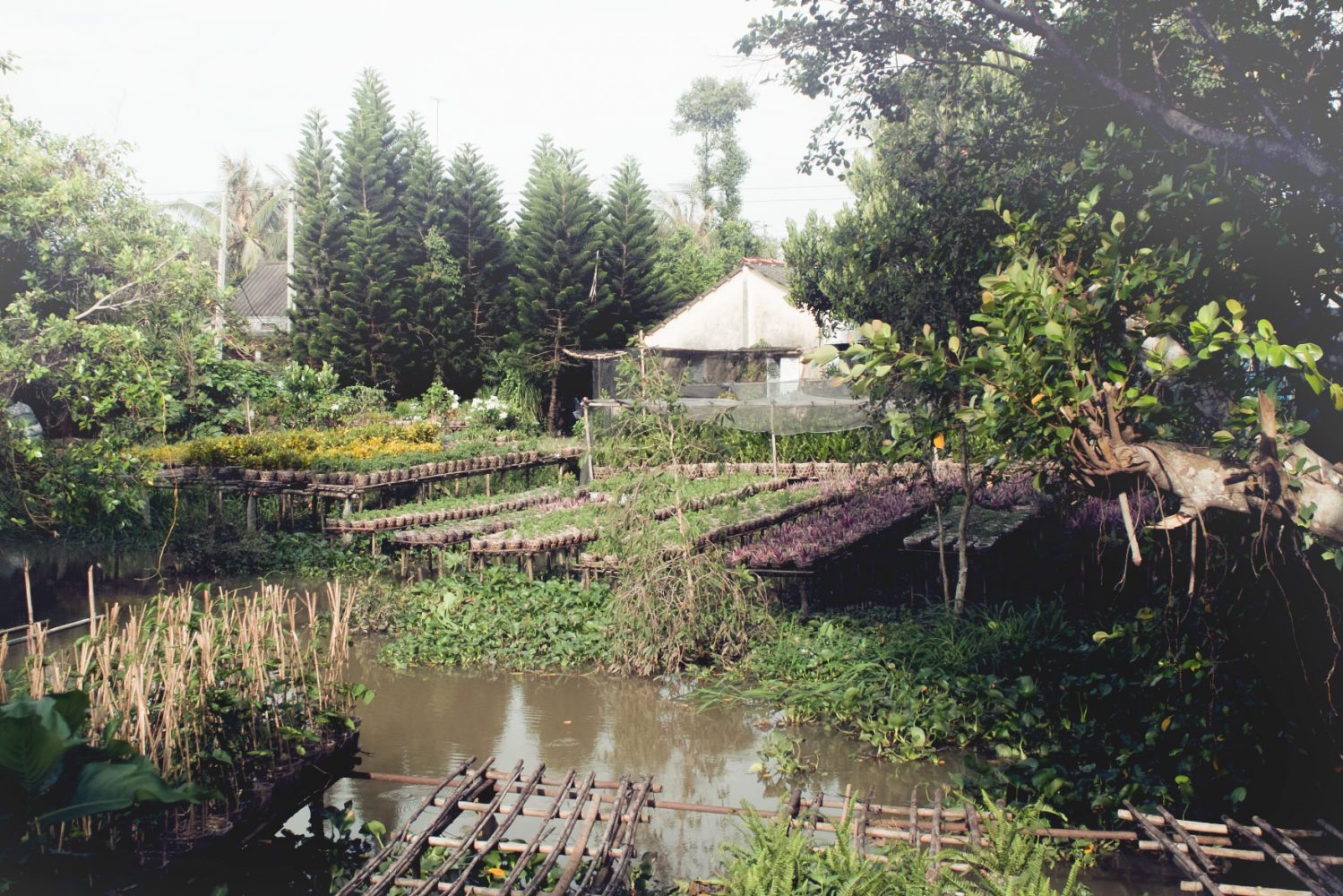 garden_mekong_thevoyageur09