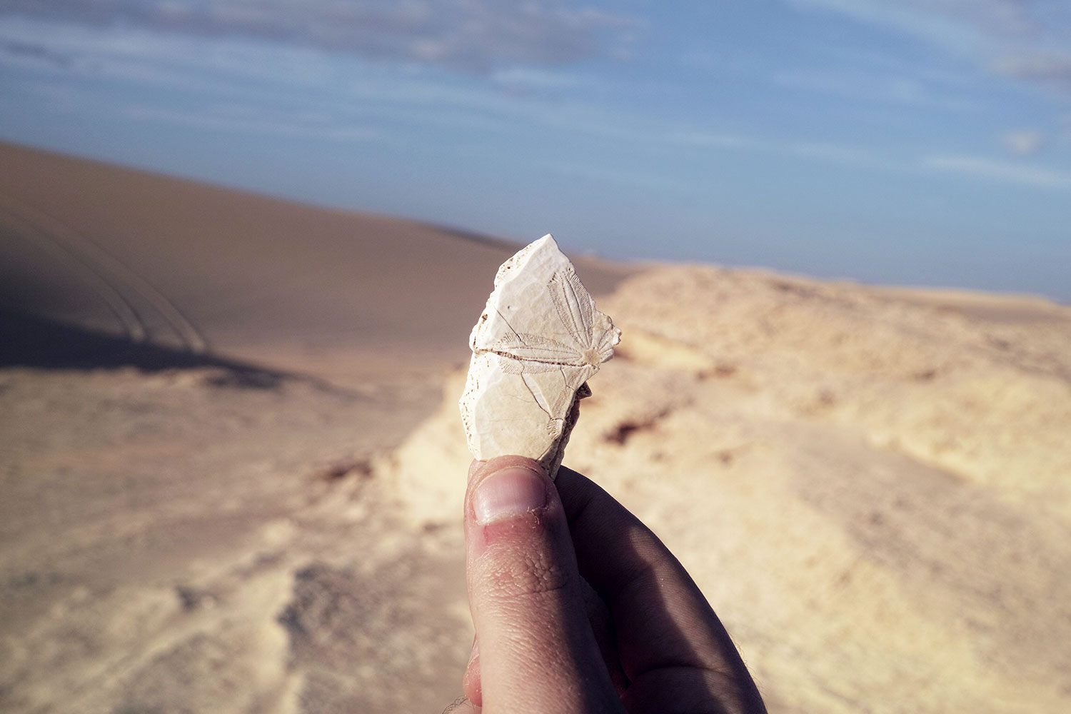 greedelight_egypt_thevoyageur08