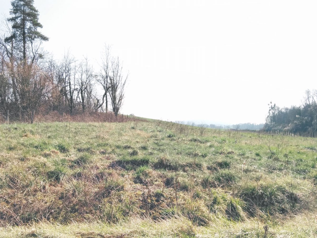 polisot_thevoyageur01