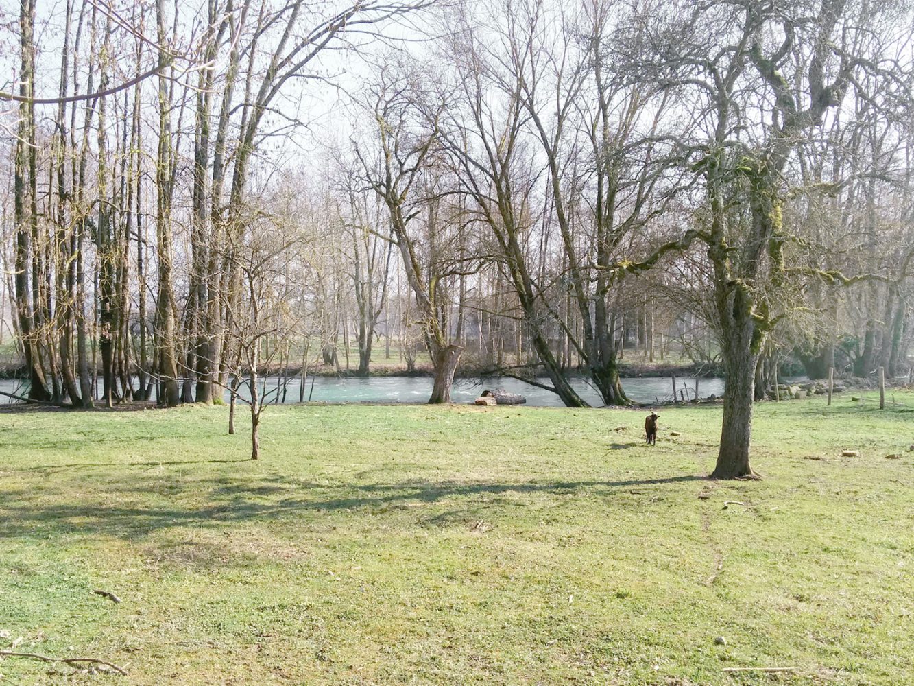 polisot_thevoyageur02