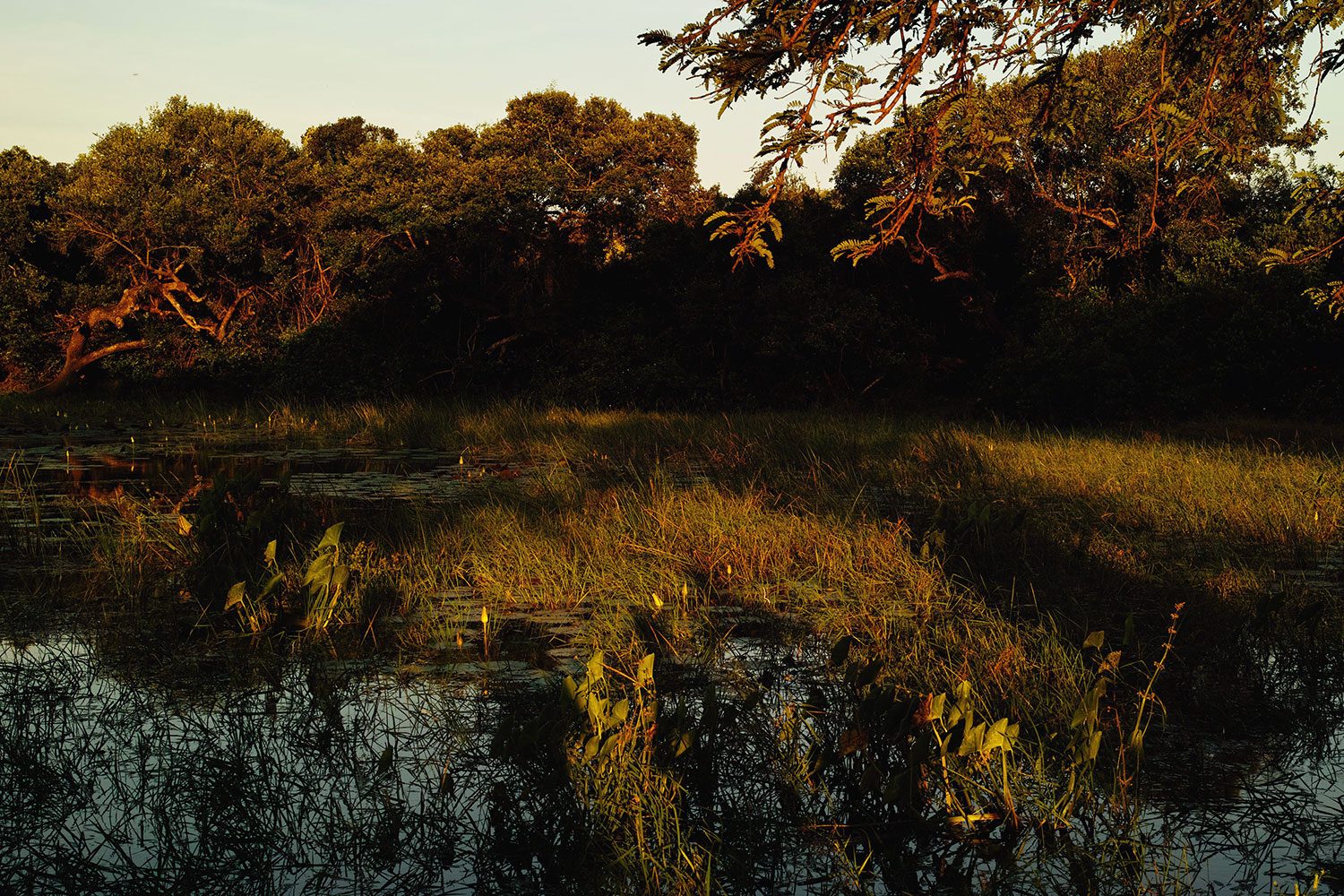 sunset_srilanka_thevoyageur04