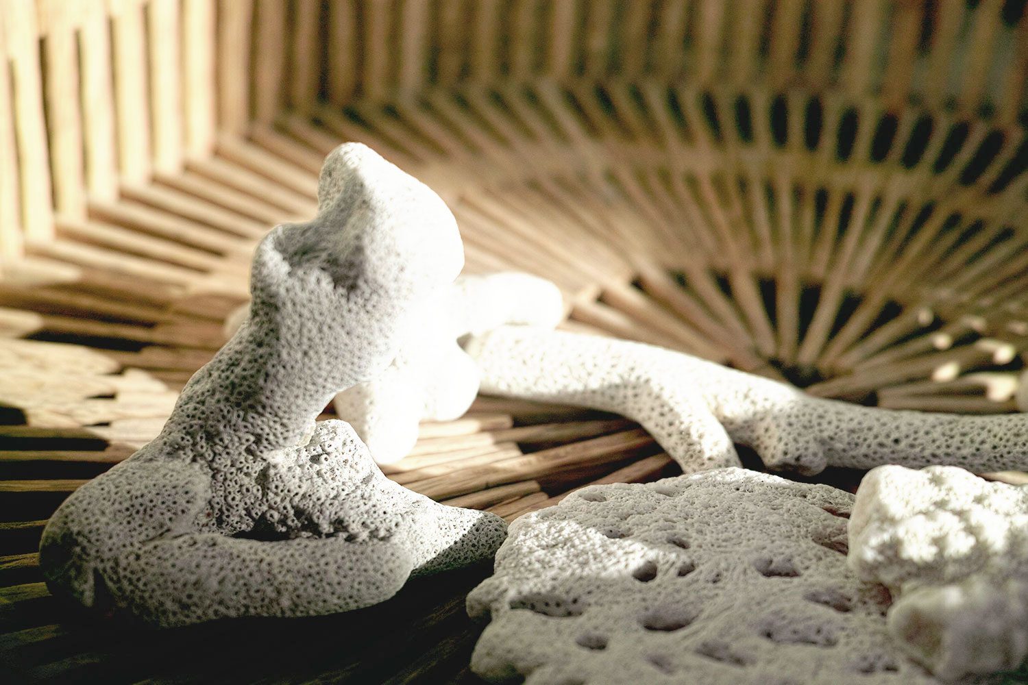 broughtback_stones_pigeonisland_thevoyageur01