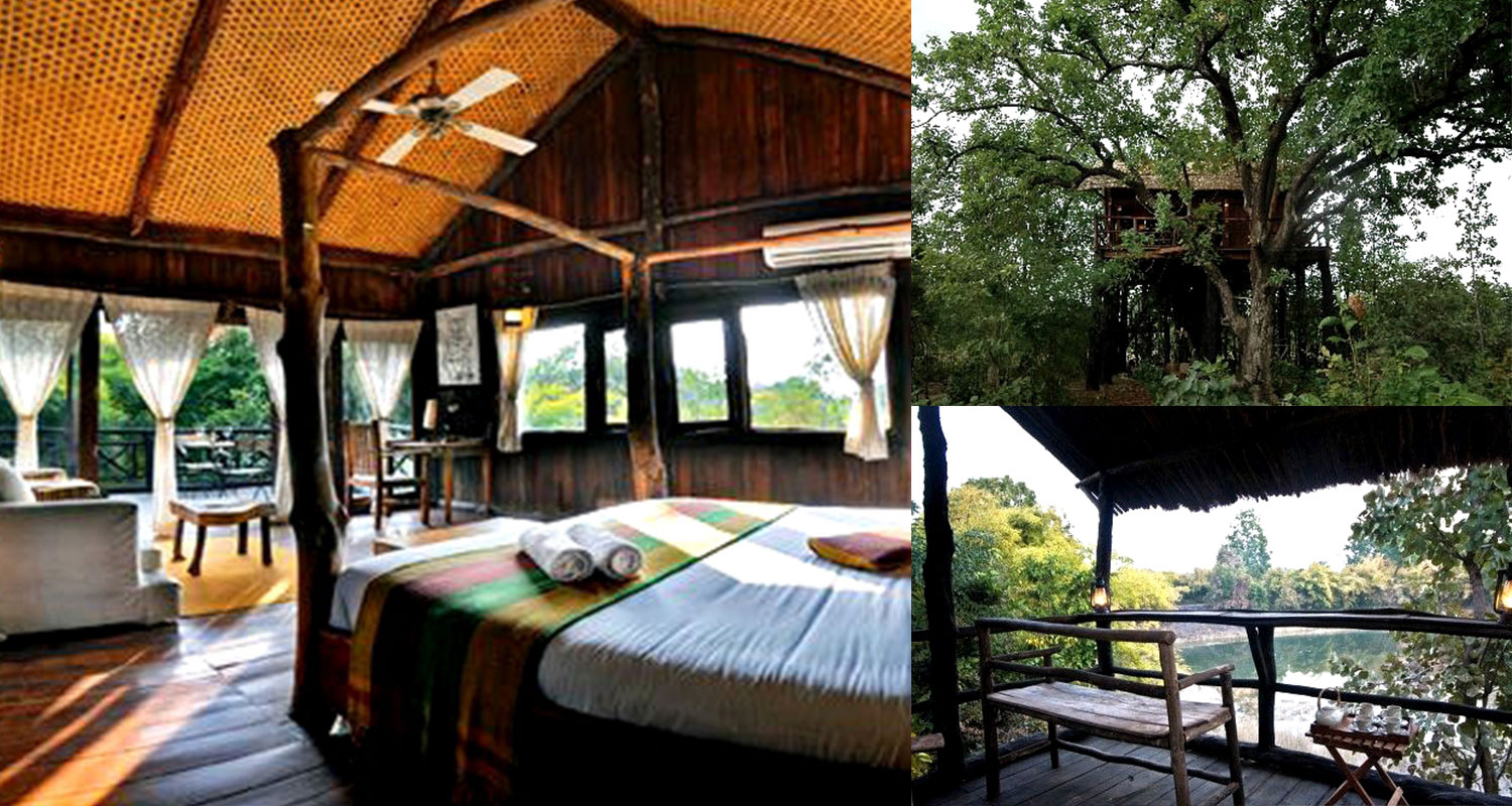glamping10