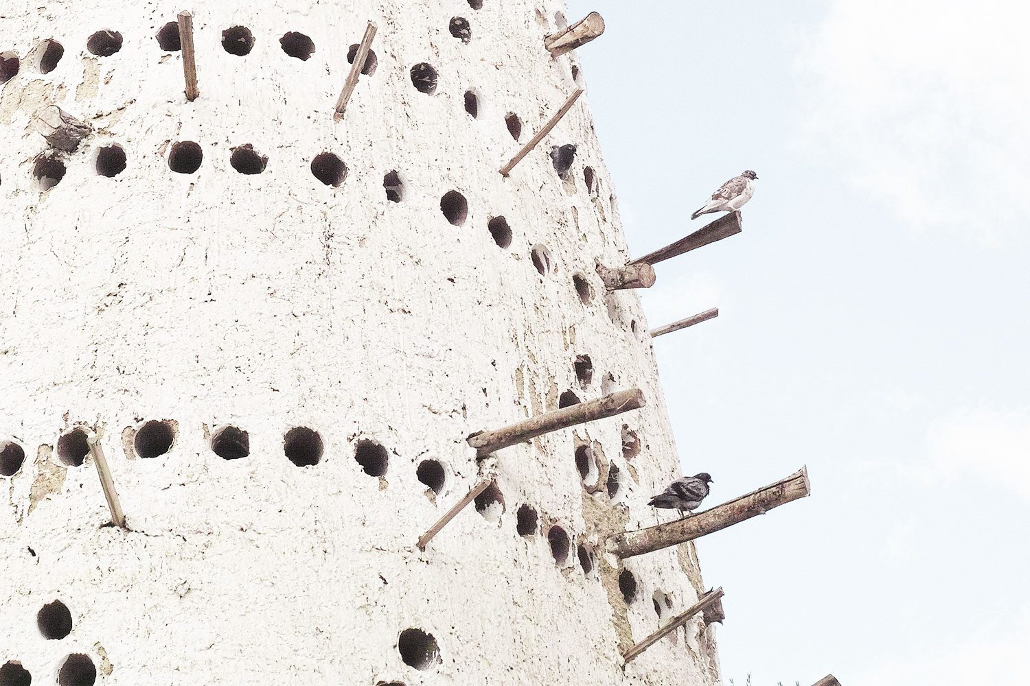 pigeontower_siwa_egypt_thevoyageur03