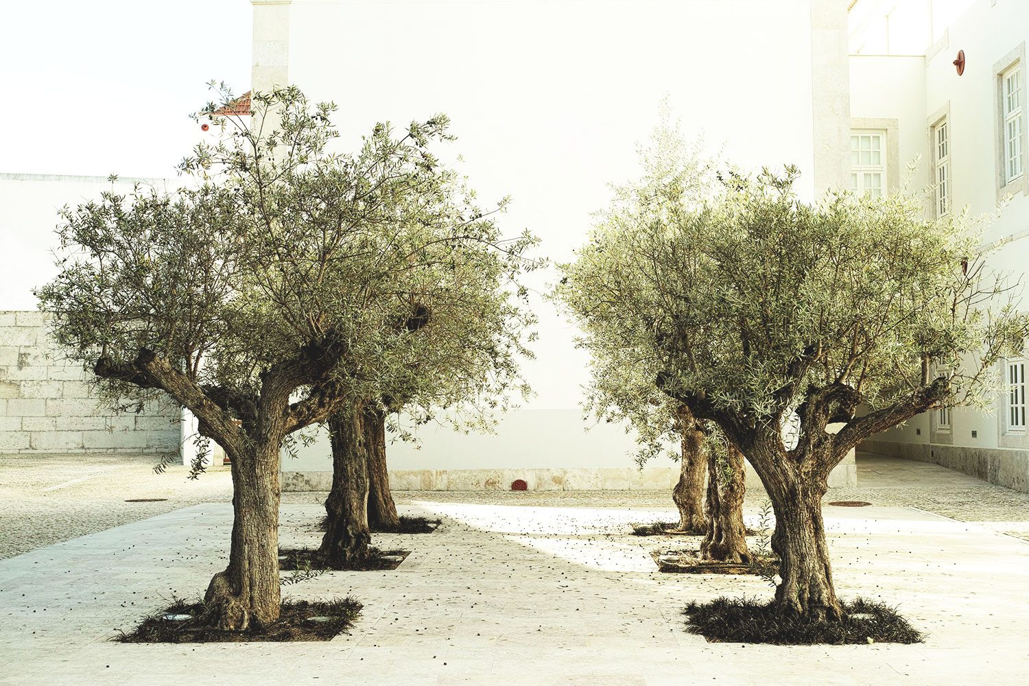 Convento dos Inglesinhos_lisbon_thevoyageur08