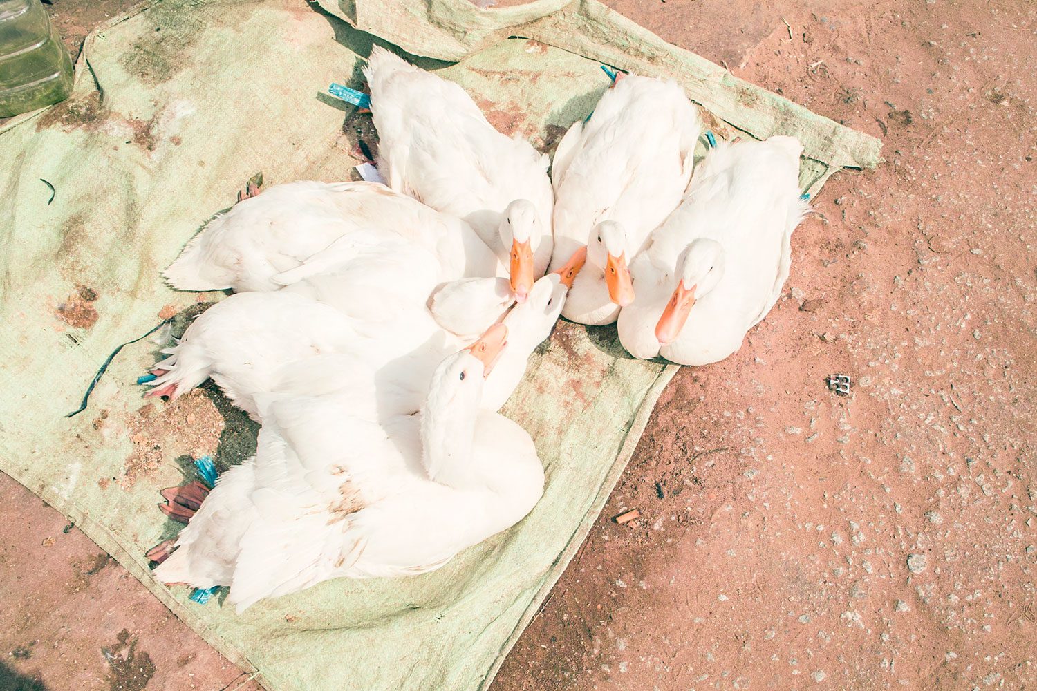themood_vietnam_thevoyageur01