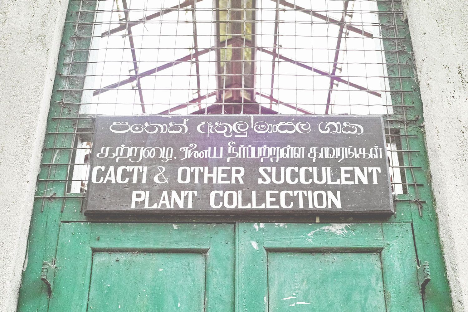 kandy_botanicalgarden_srilanka_thevoyageur_02