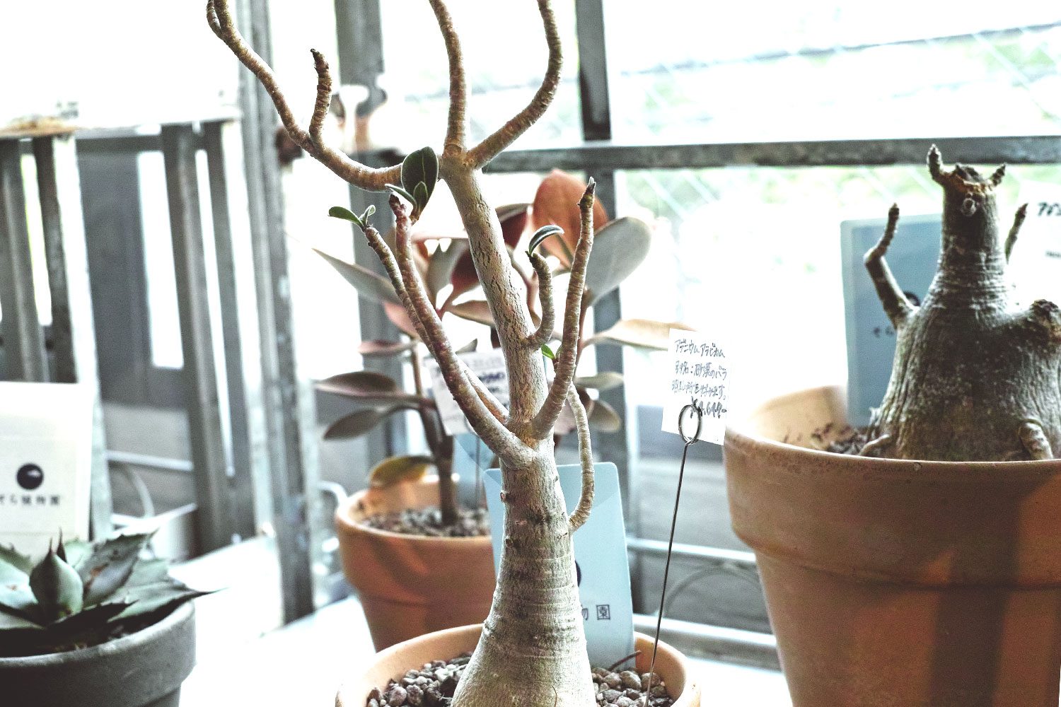 dandepartmentstore_osaka_japan_thevoyageur11