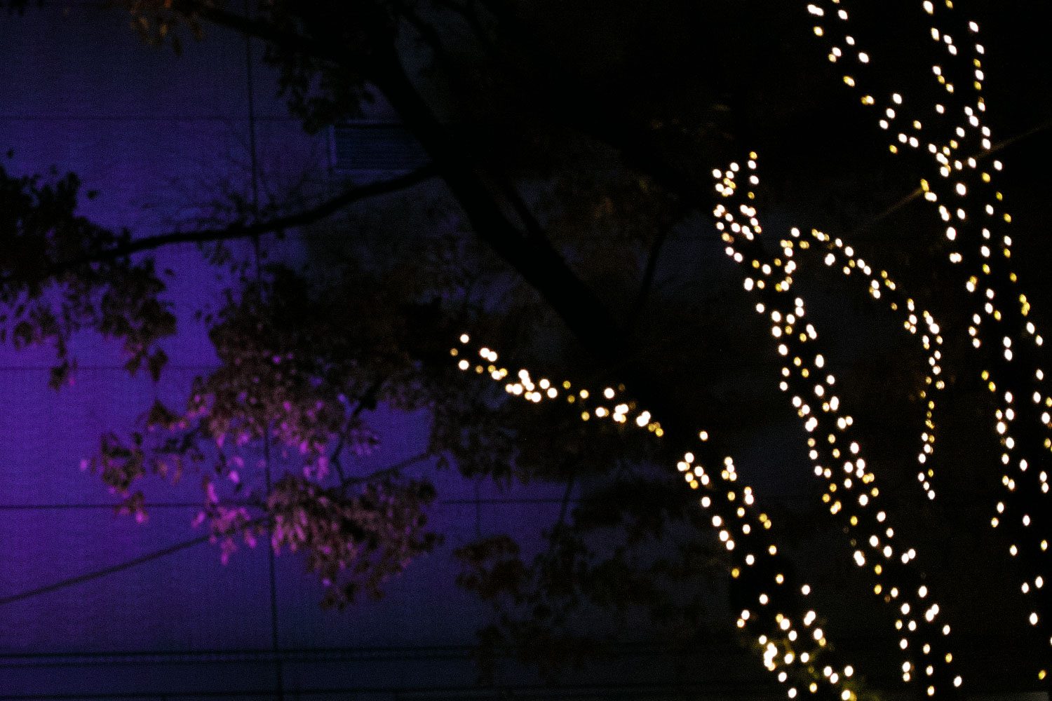 christmas_japan_thevoyageur009