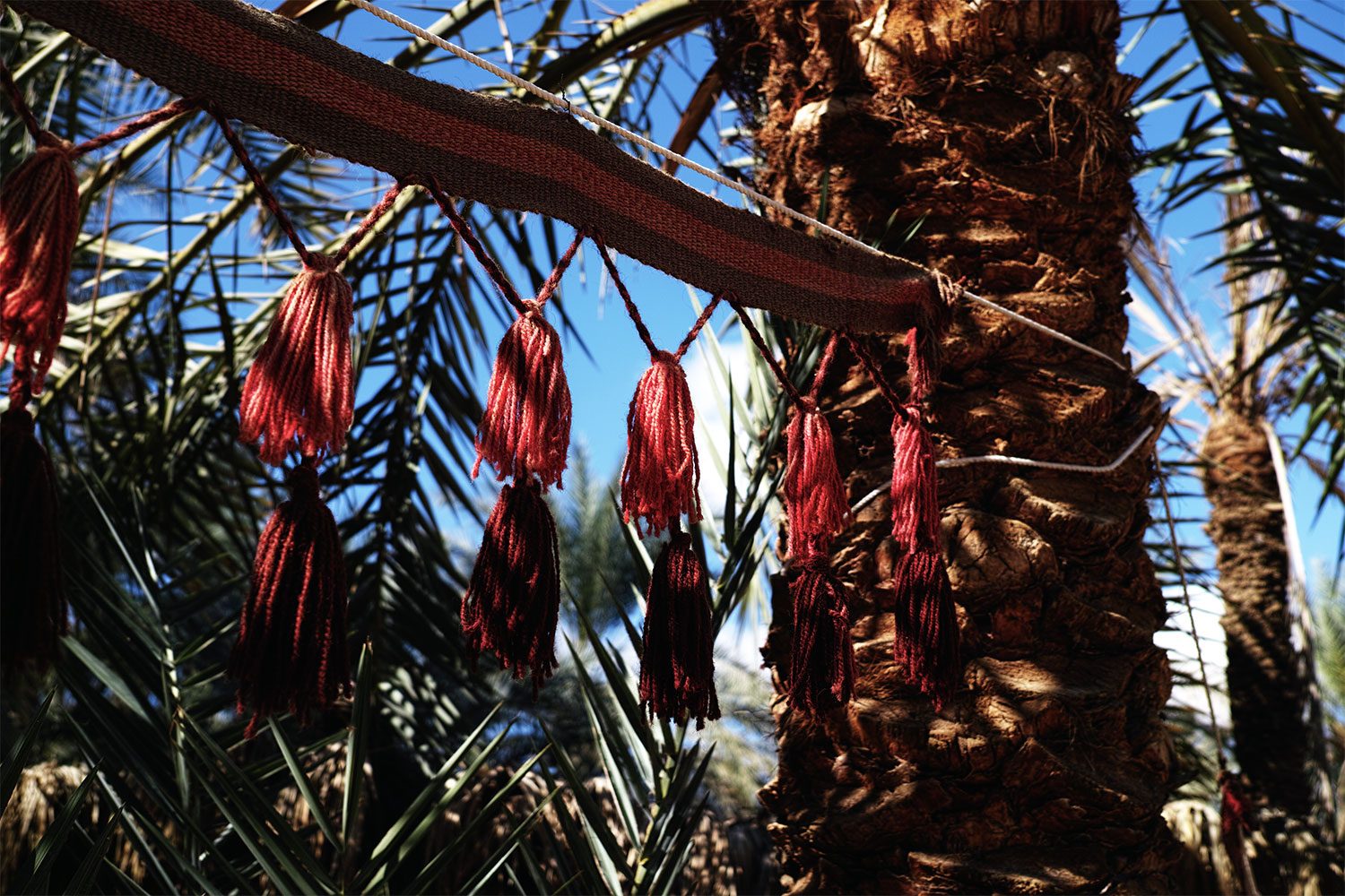 themood_siwa_egypt_thevoyageur009