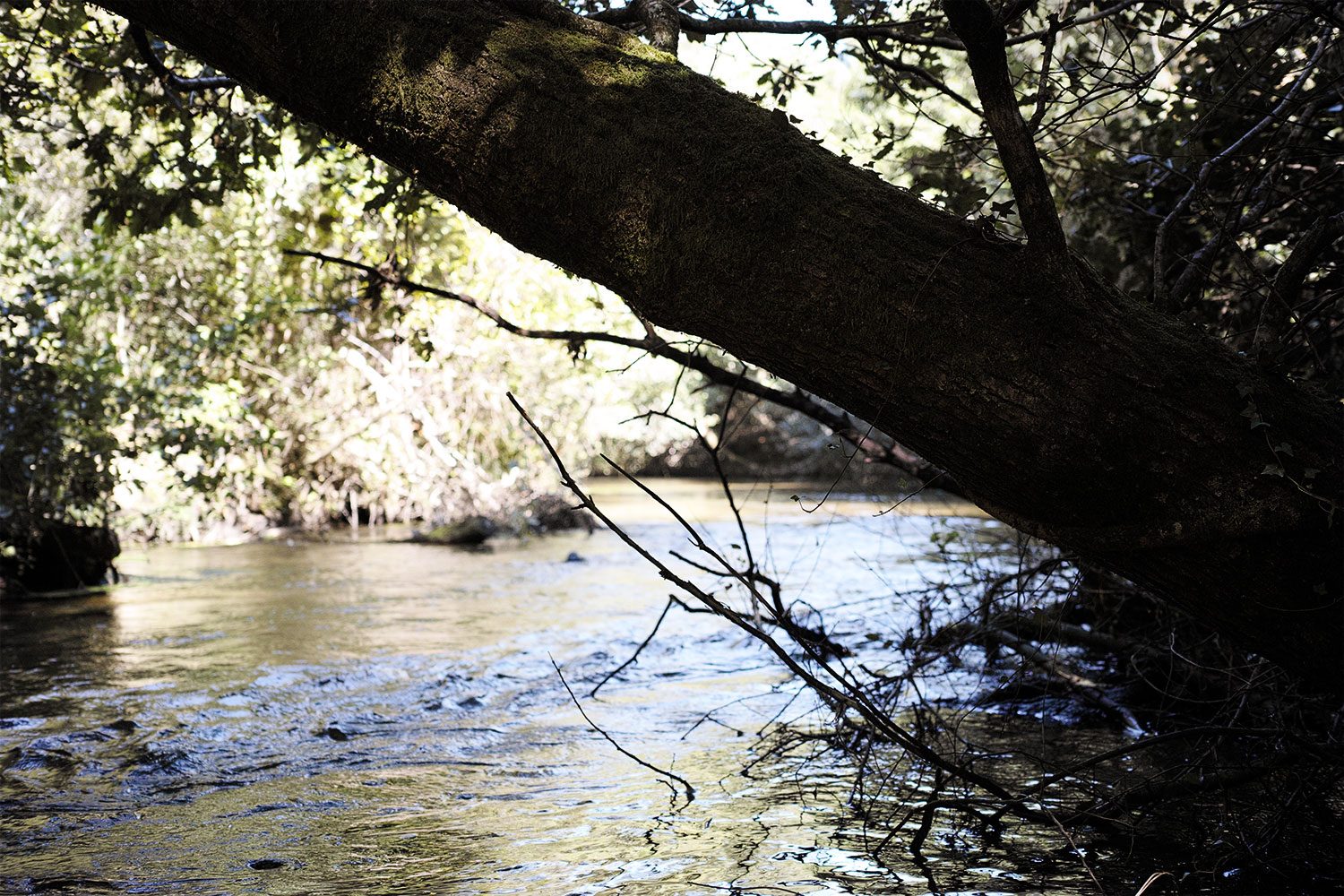 SDIM0150