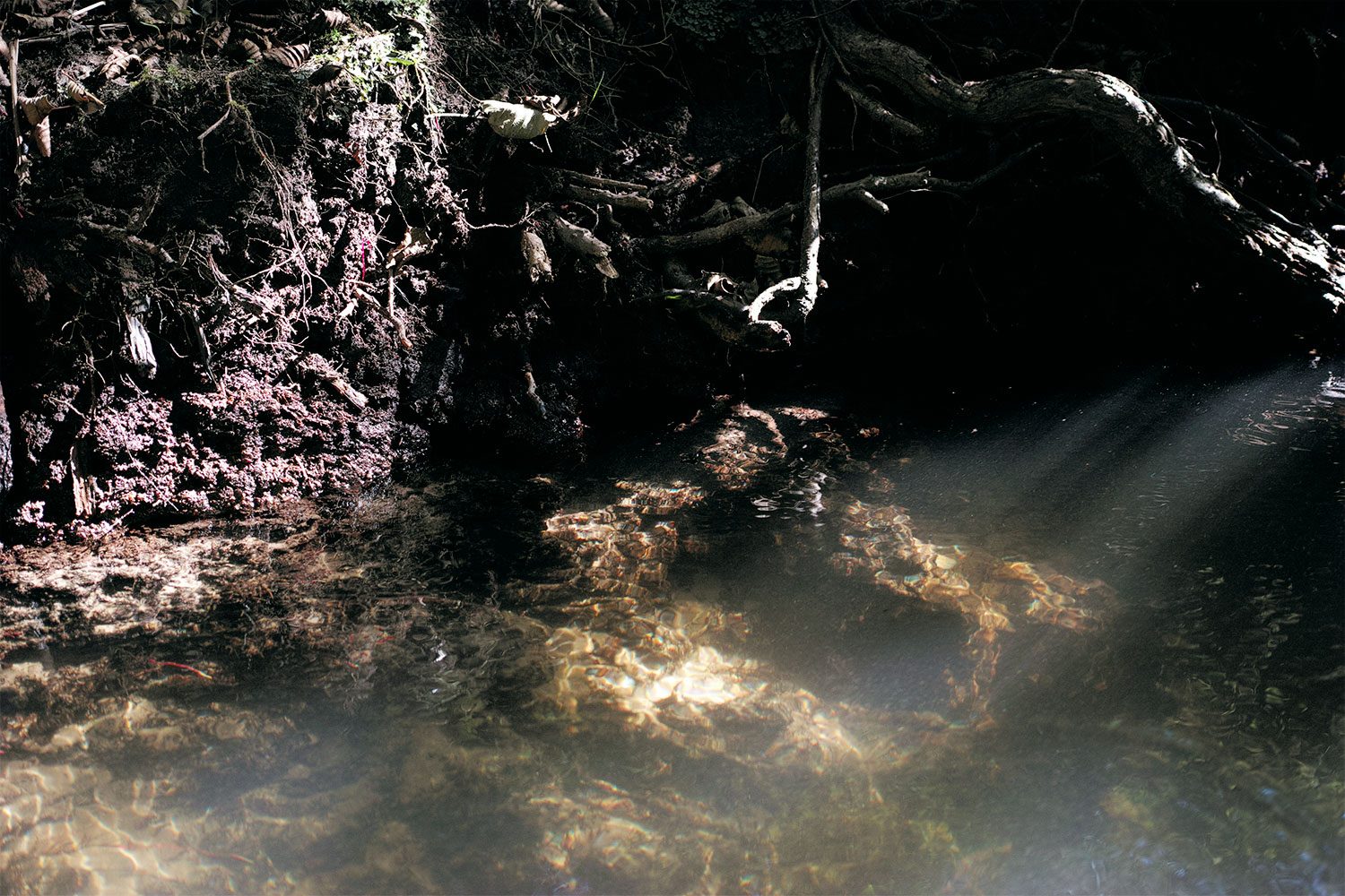 SDIM0183