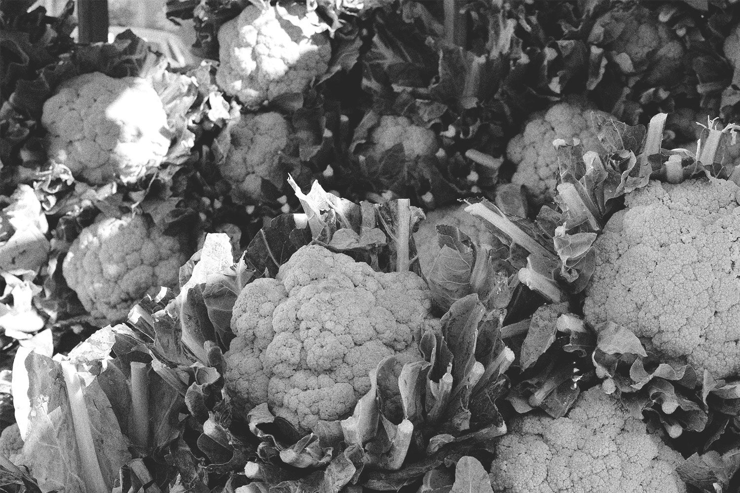 inblackandwhite_sicily_italy_thevoyageur003