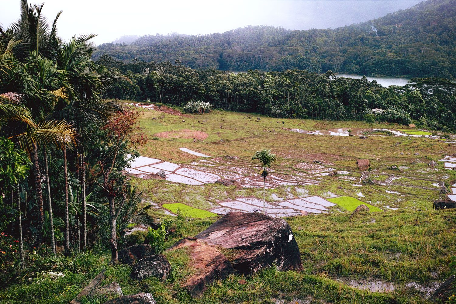 panorama_kotmale_reservoir_srilanka_thevoyageur001