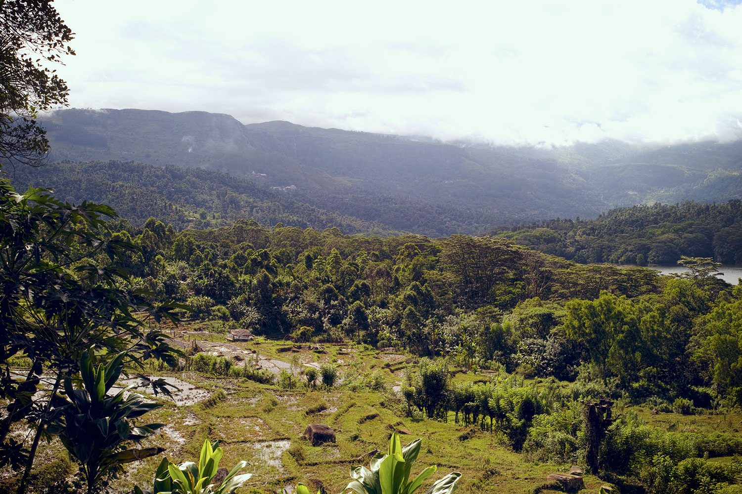 panorama_kotmale_reservoir_srilanka_thevoyageur003