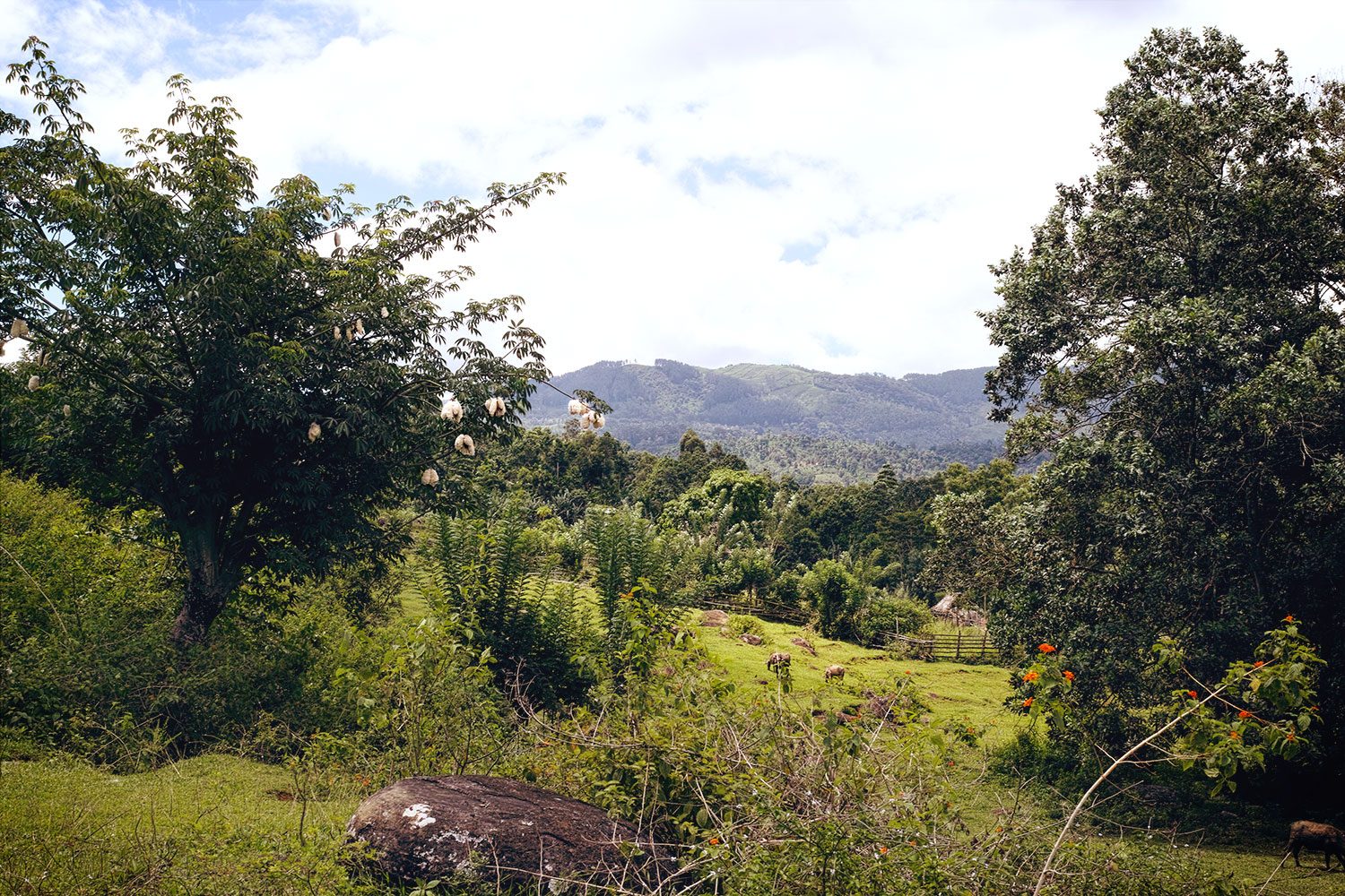 panorama_kotmale_reservoir_srilanka_thevoyageur006jpg