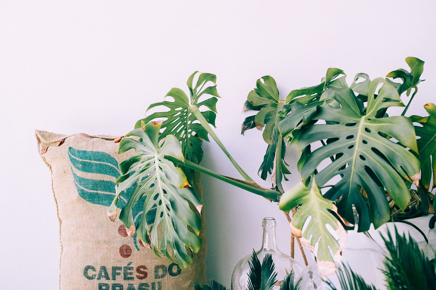 details_villa_extramuros_thevoyageur08