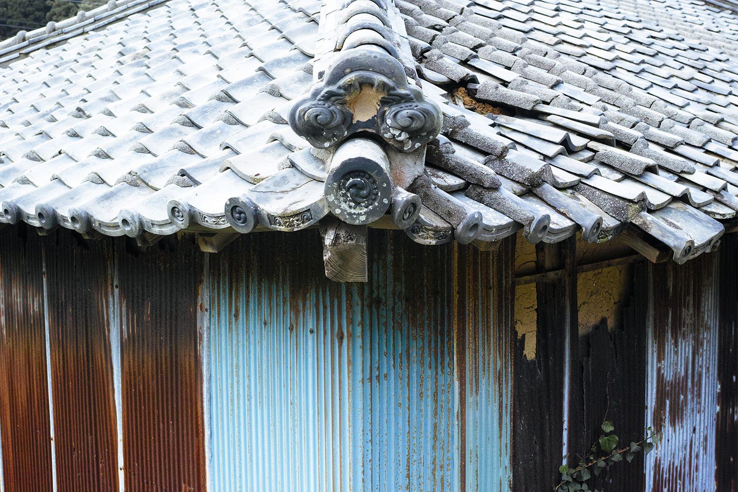 shimoshima_amakusa_thevoyageur04