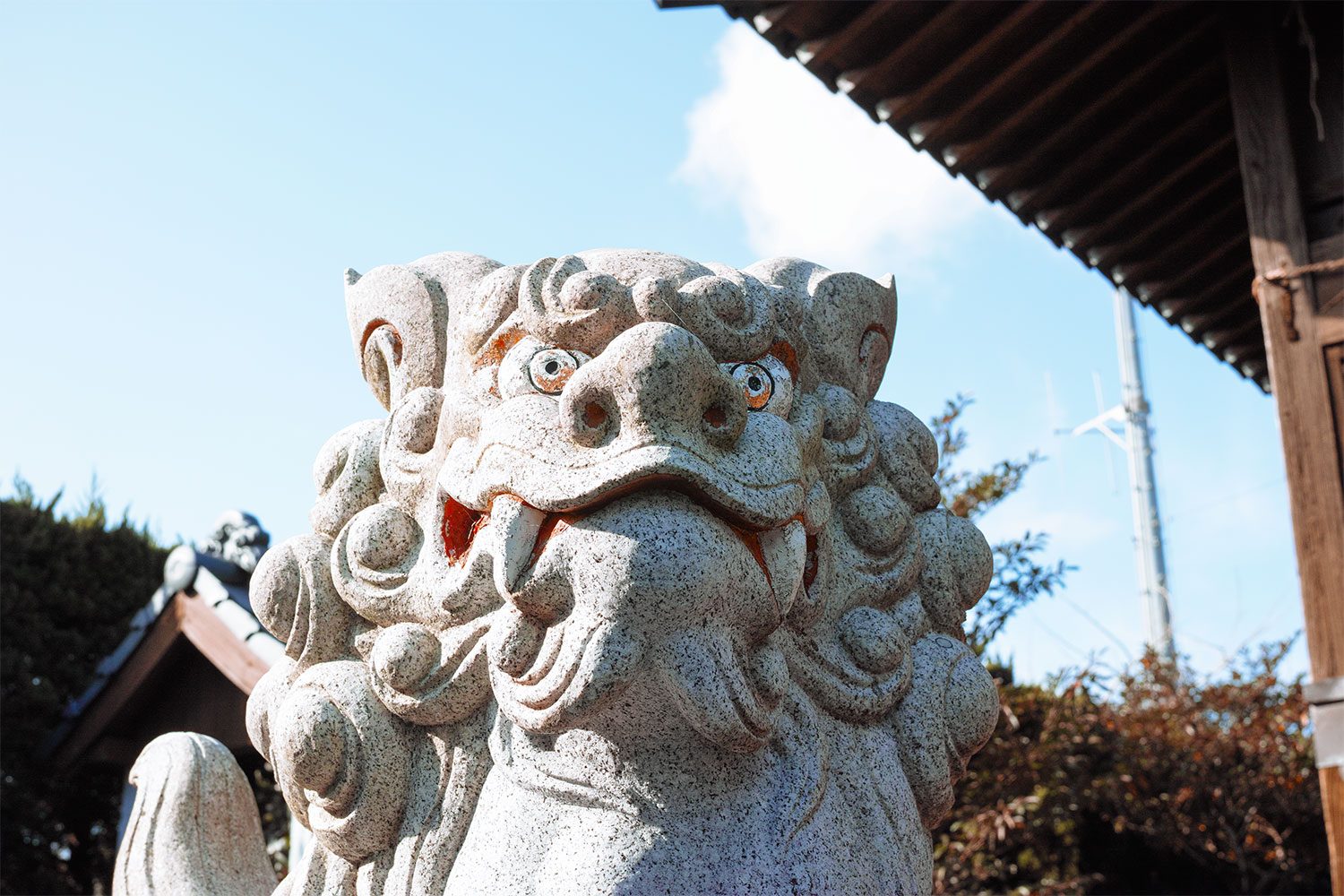 shimoshima_amakusa_thevoyageur07