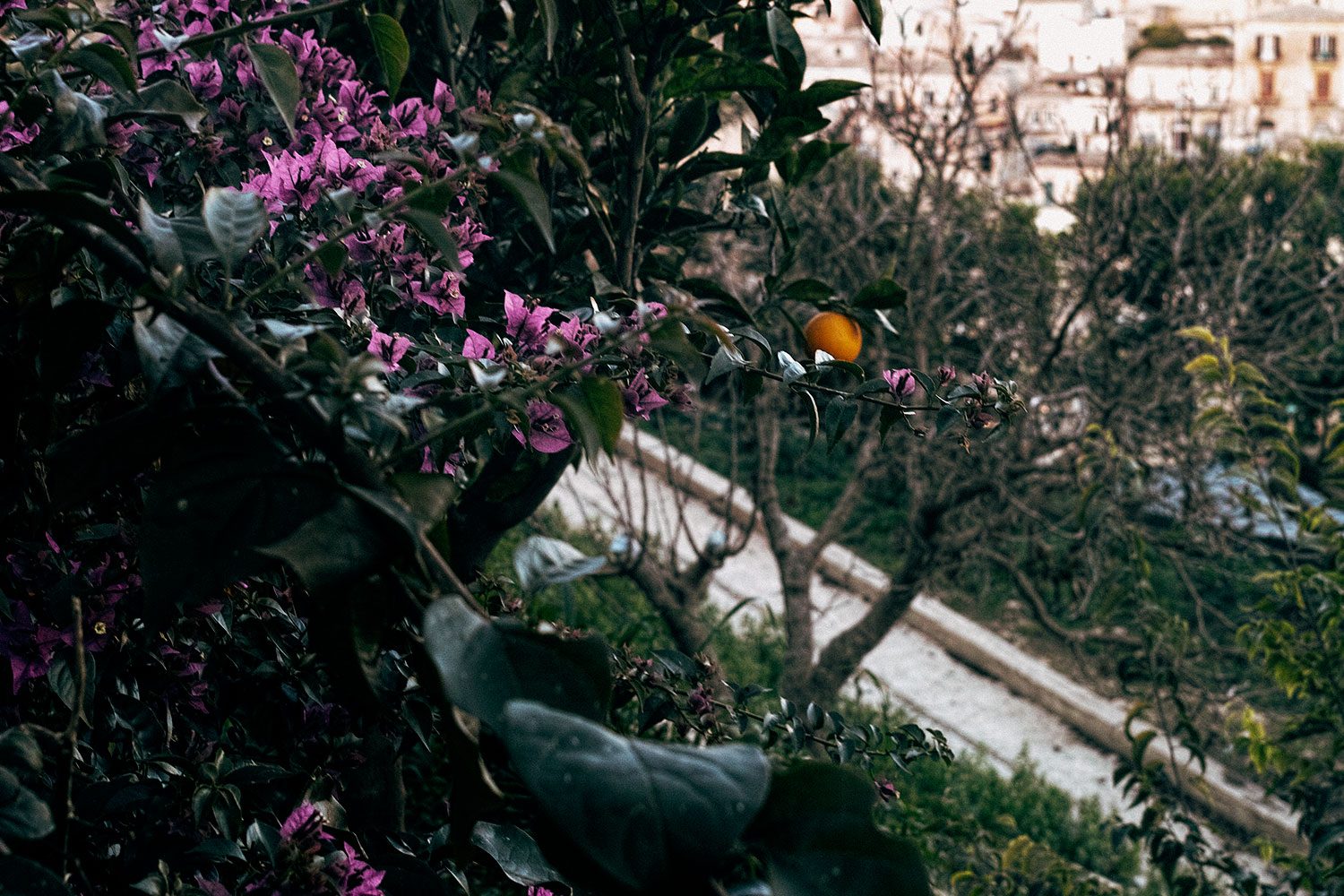 themood_modica_sicily_italy_thevoyageur06