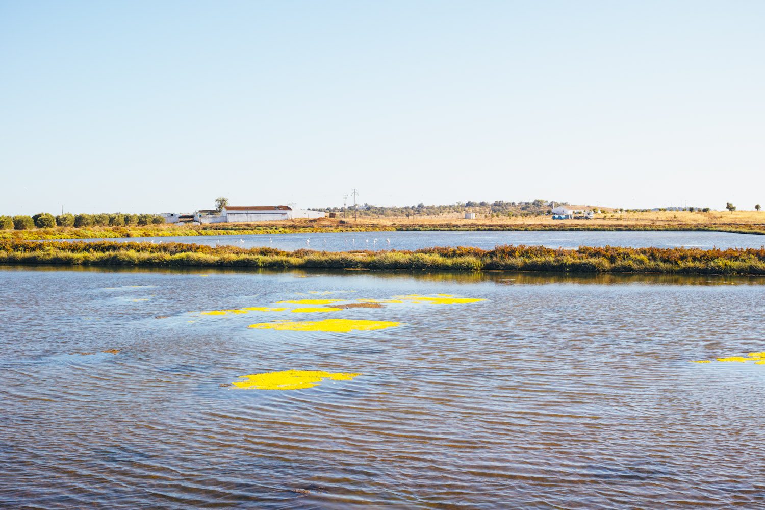 salt_ponds_castro_marim_portugal__thevoyageur005