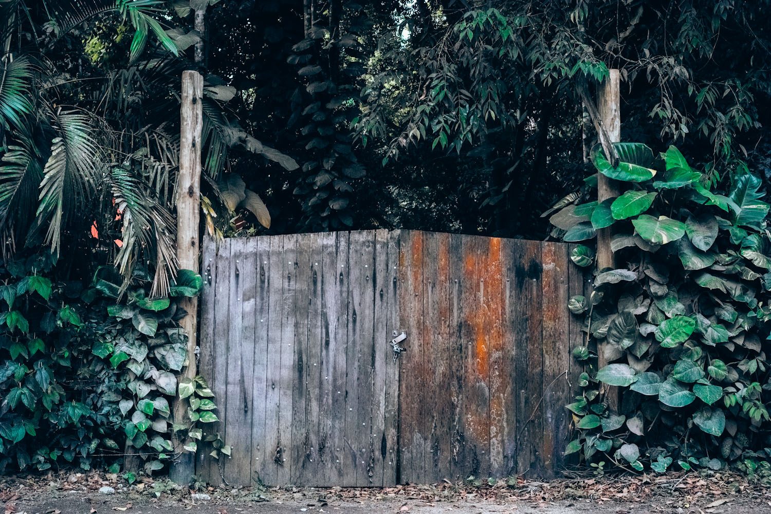 themood_trancoso_brazil_thevoyageur003